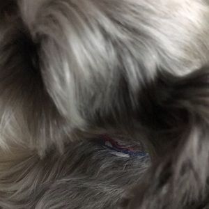 Meet your Posher, Cathy